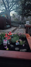 Load image into Gallery viewer, Hardwood Sandpit Planter Box